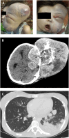 Figure 3.