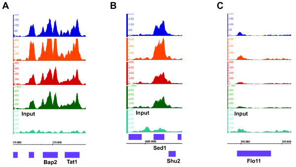 Figure 5