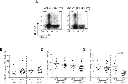 Figure 5