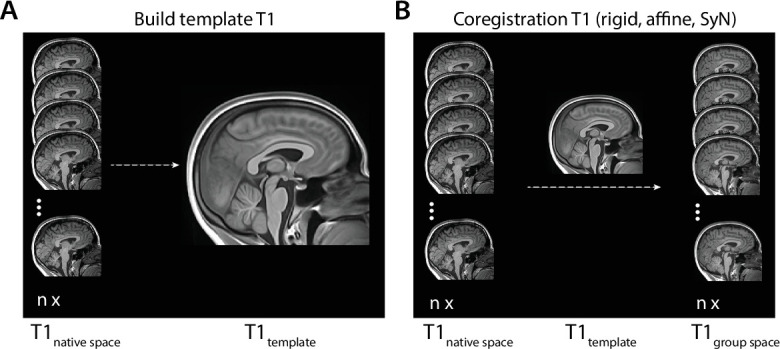 Figure 2—figure supplement 1.