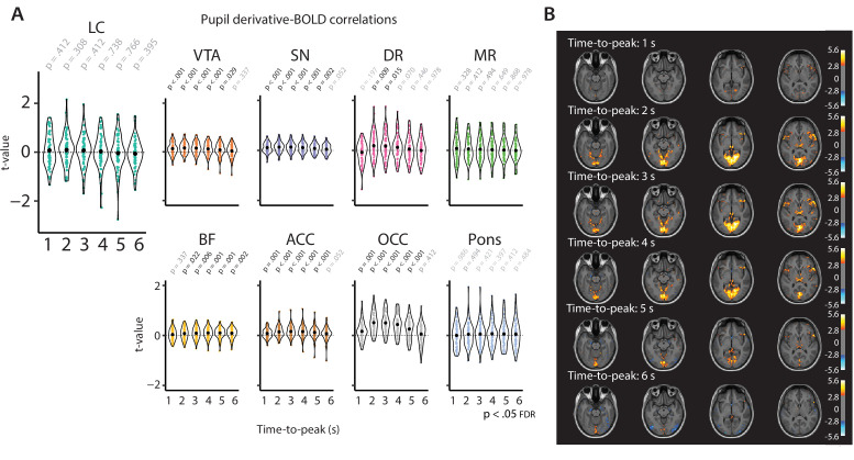 Figure 4—figure supplement 2.