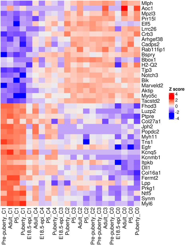 Figure 12. 