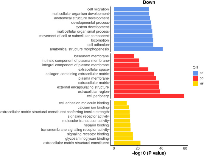 Figure 13. 