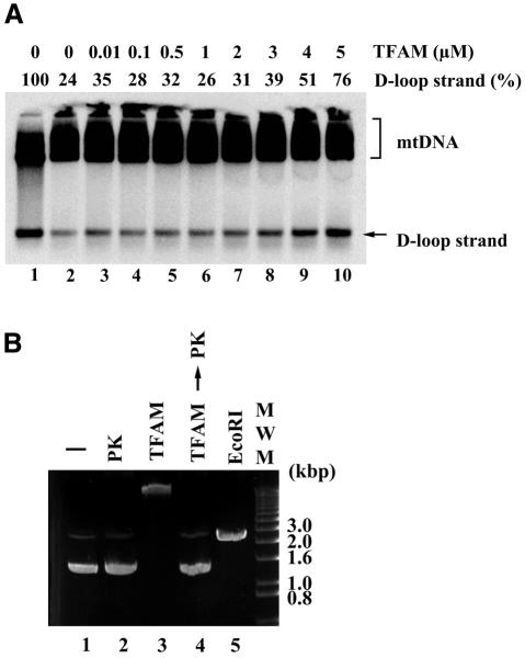 graphic file with name kvf09902.jpg