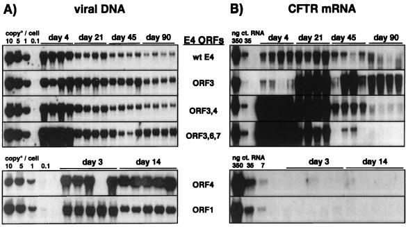 FIG. 10