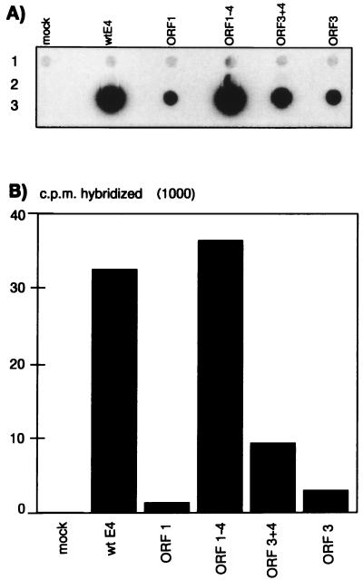 FIG. 8