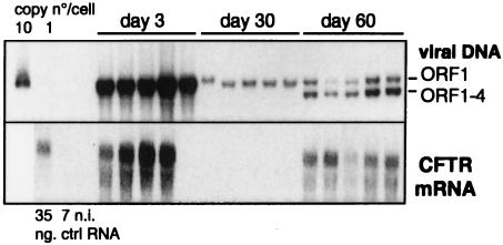 FIG. 5