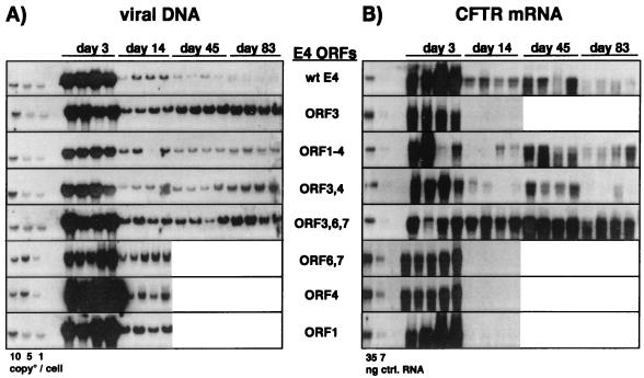 FIG. 9