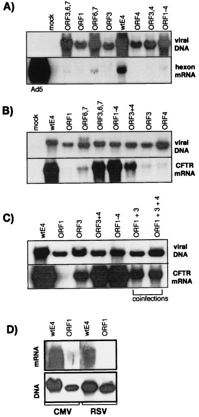 FIG. 7