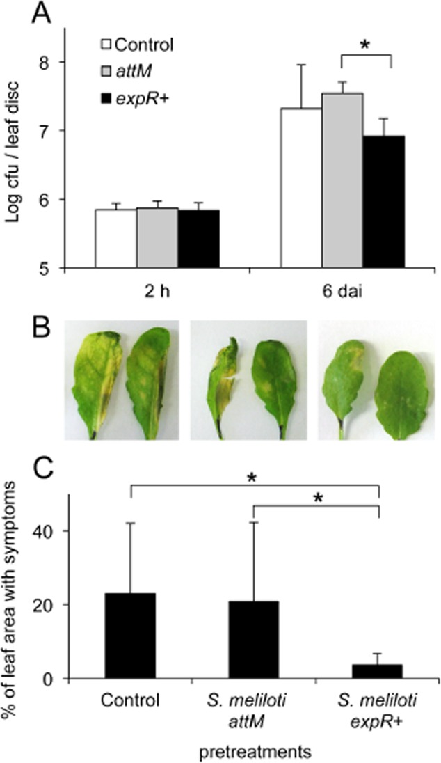 Fig 5