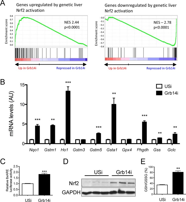 FIG 6