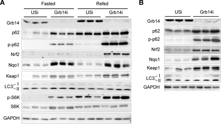 FIG 9