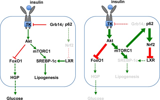 FIG 10