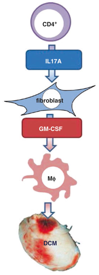 Fig. 10.2