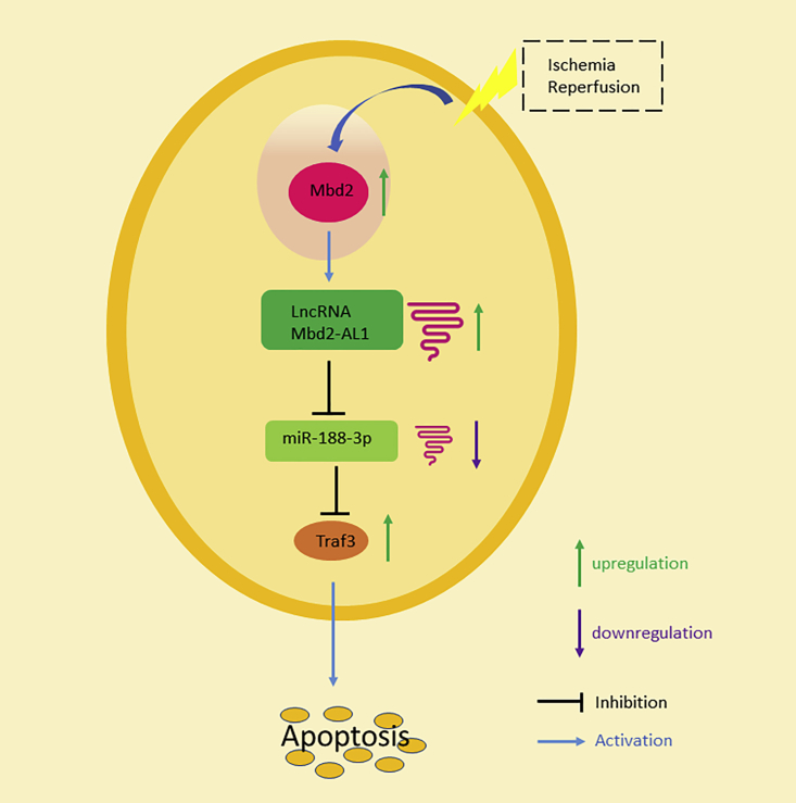 Figure 12