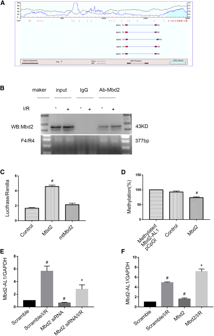 Figure 4