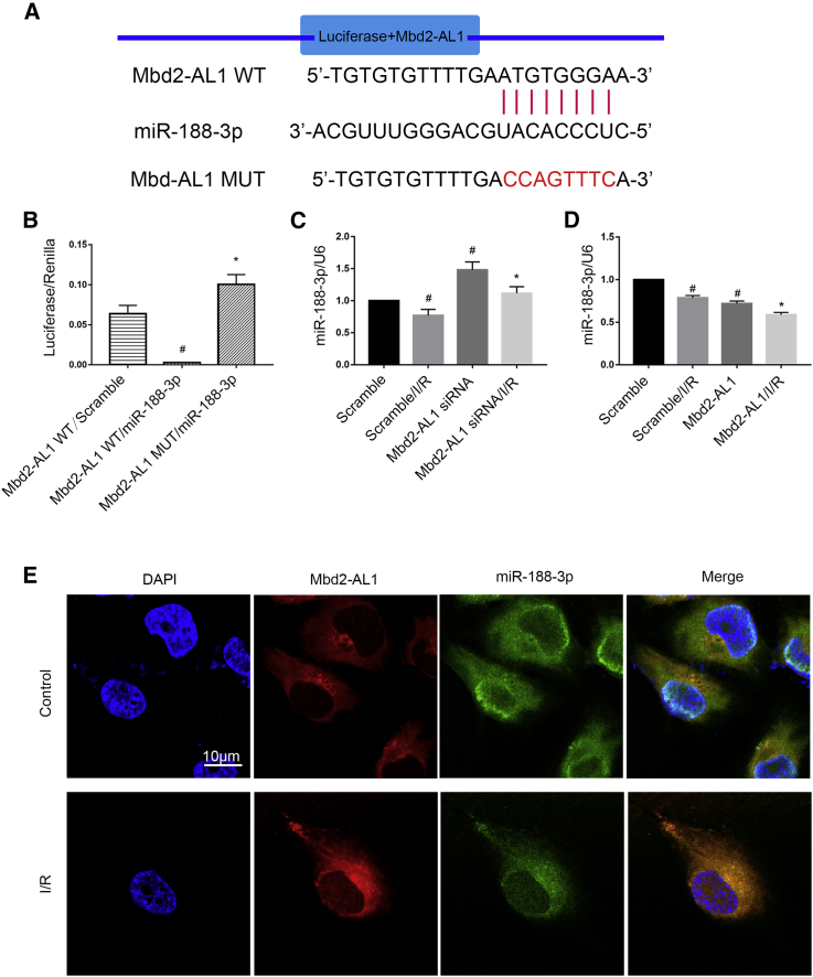 Figure 6