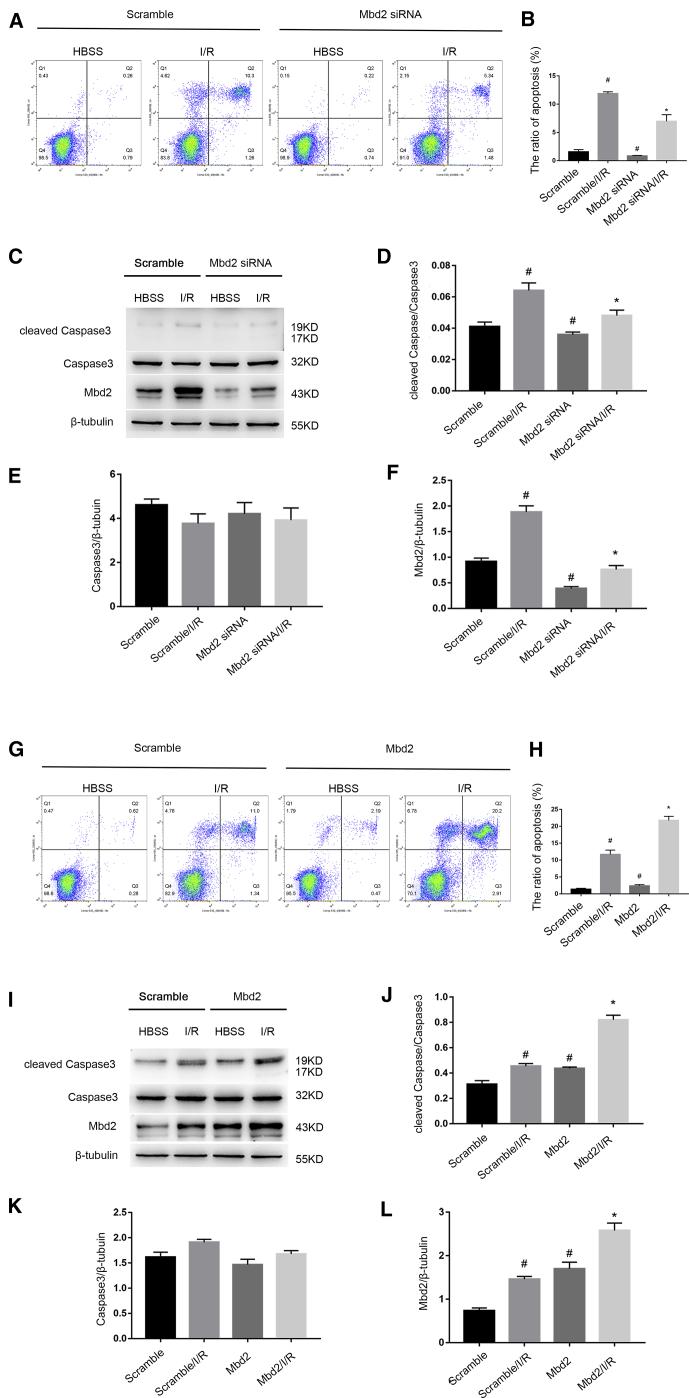 Figure 2