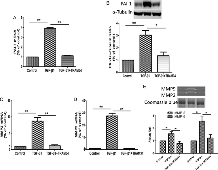 FIGURE 2: