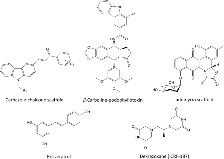 Figure 10