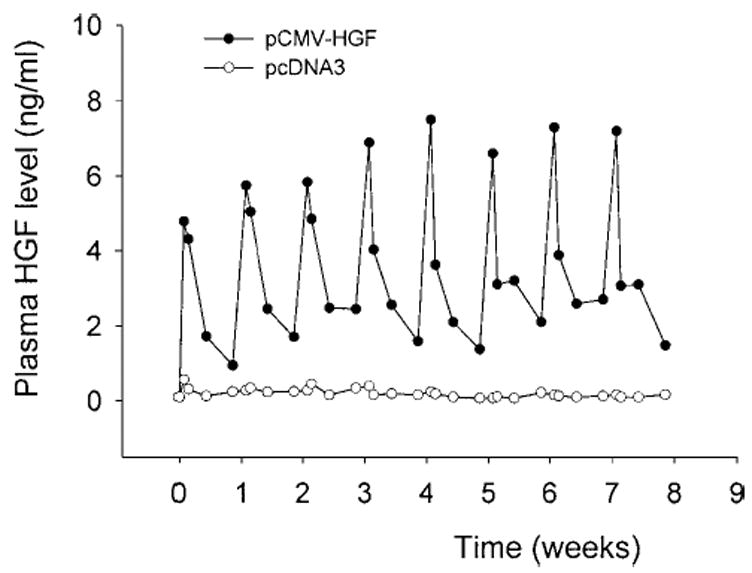 Fig. 6