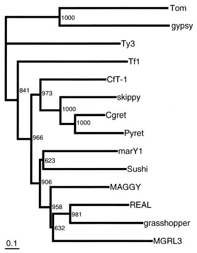 Figure 5