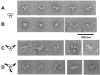 FIG. 10.