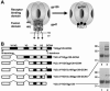 FIG. 1.