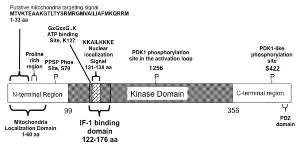 Fig 5