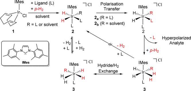 Scheme 1