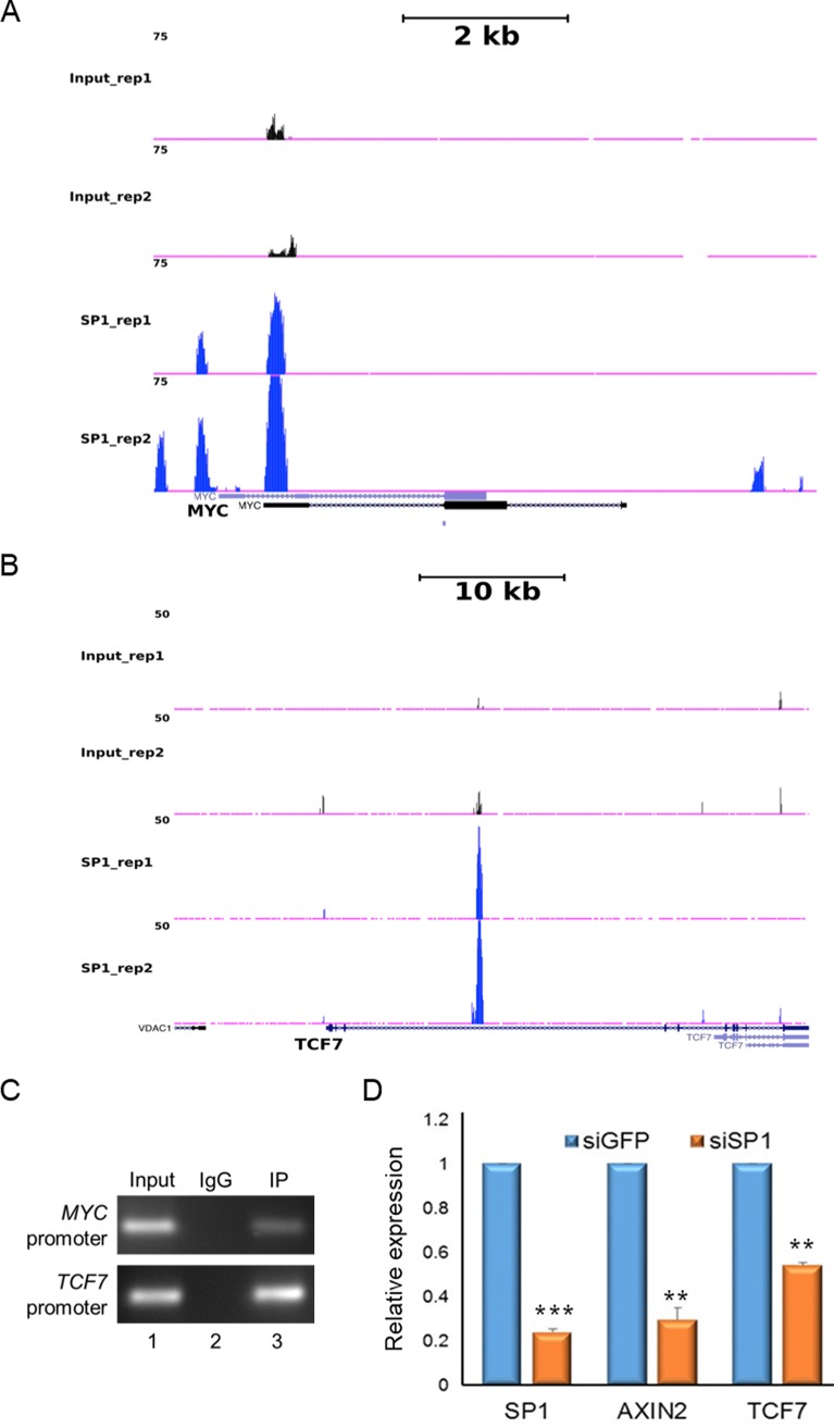 FIG 9