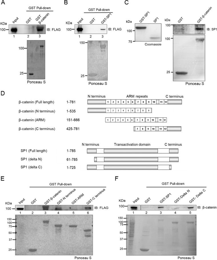 FIG 3