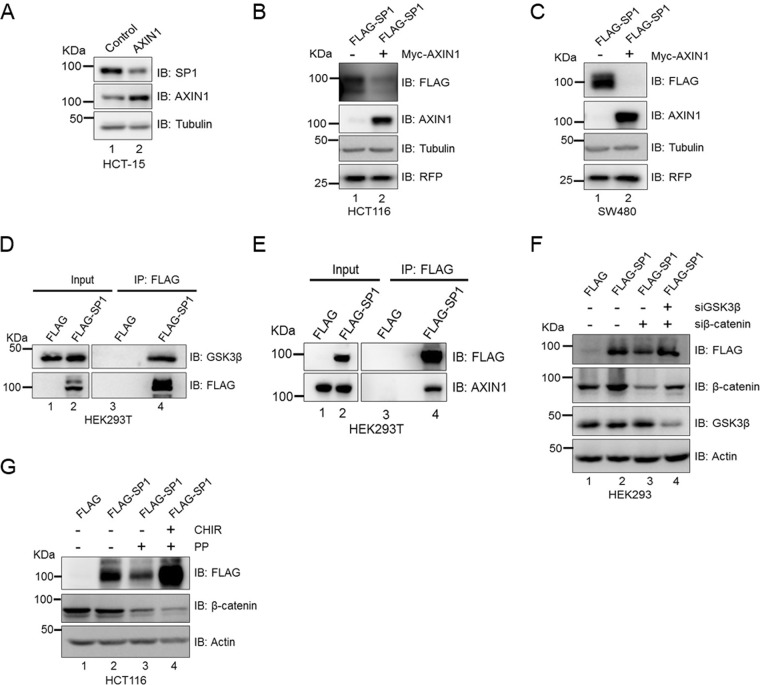 FIG 6