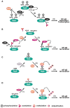 Fig. 2