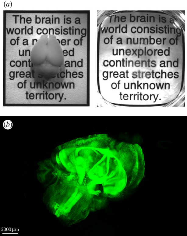 Figure 2.