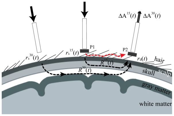 Fig. 3