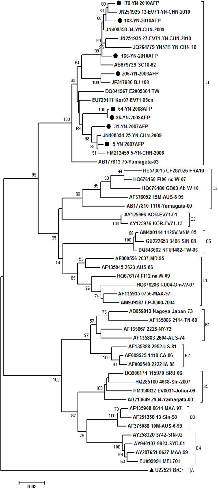 Figure 2