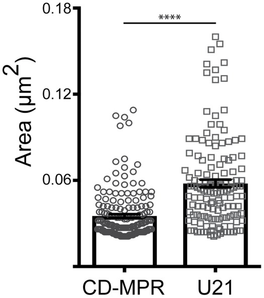 FIGURE 5: