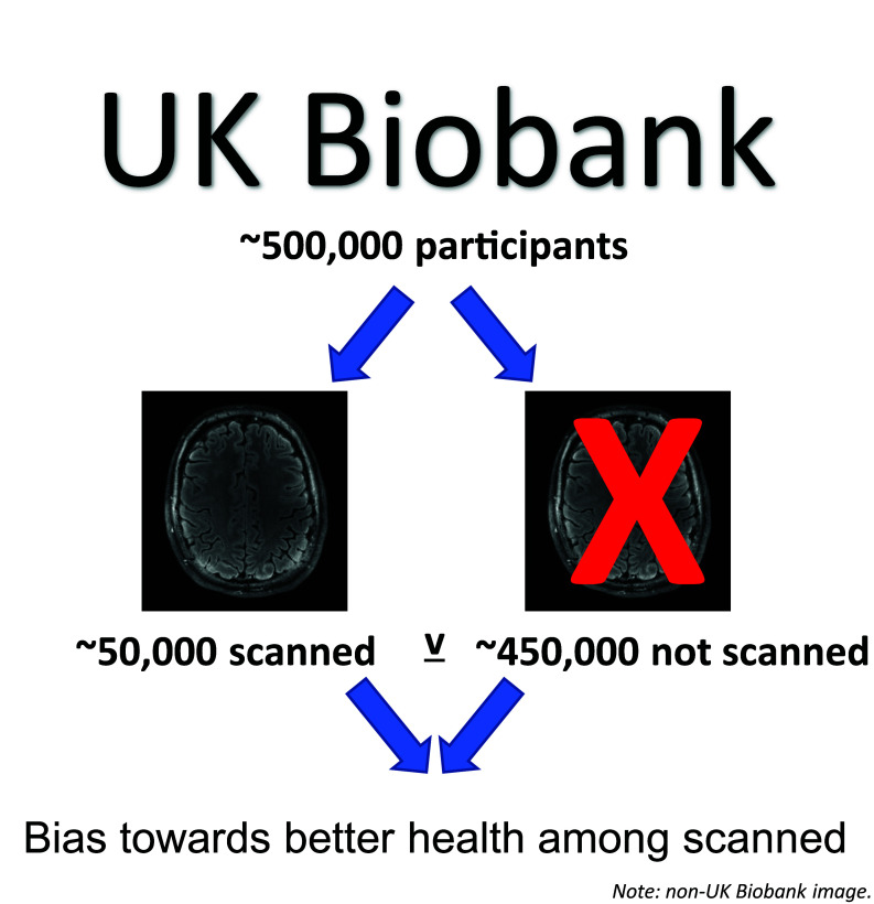 Graphical Abstract