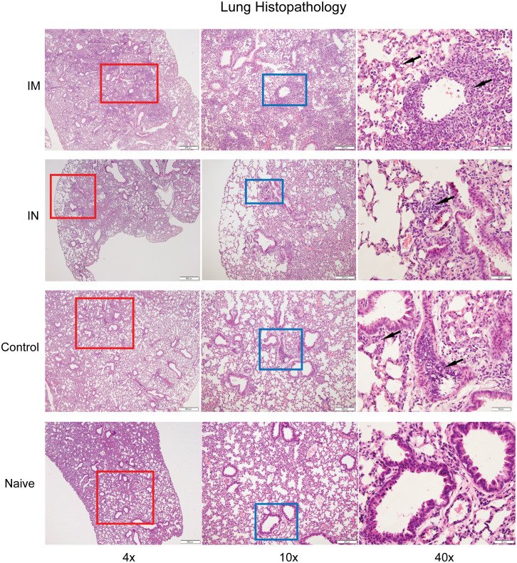 Figure 4