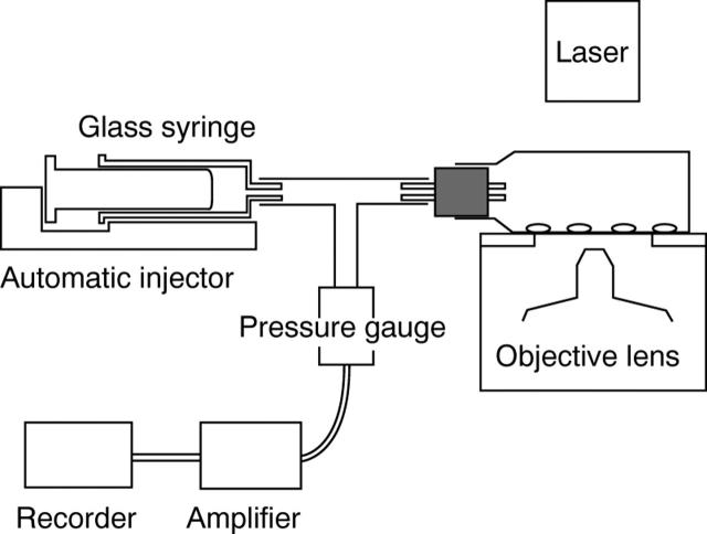 Figure 1  