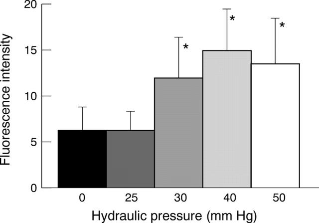 Figure 4  