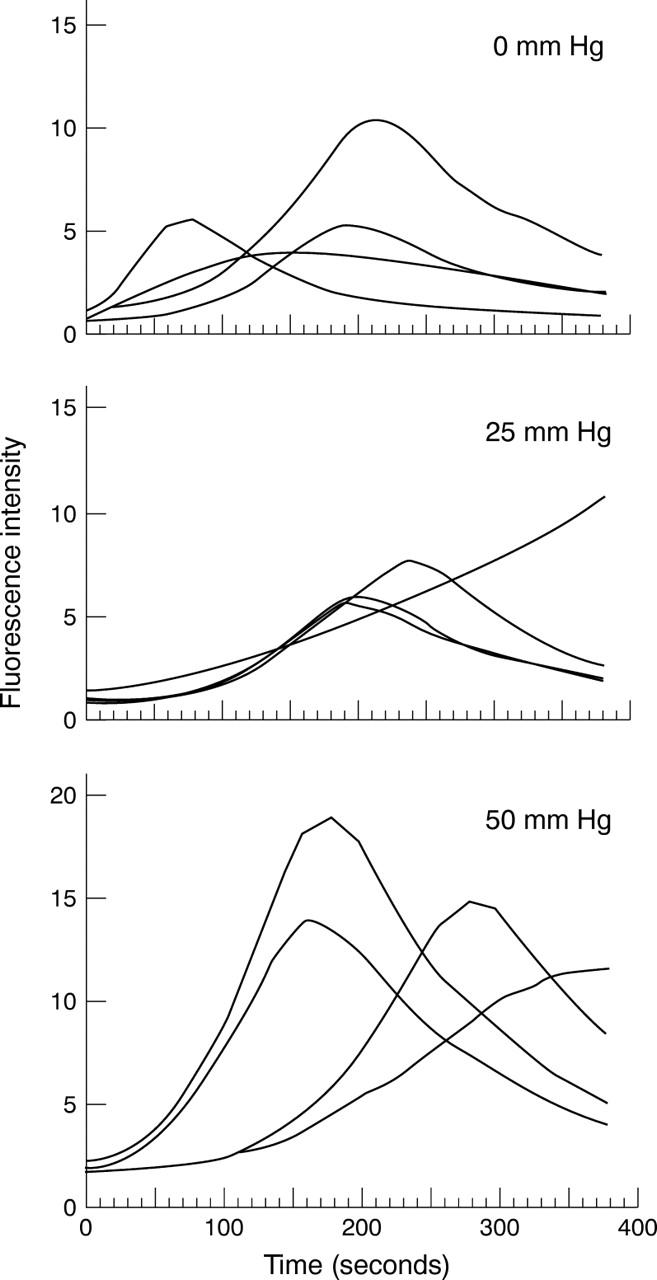 Figure 3  