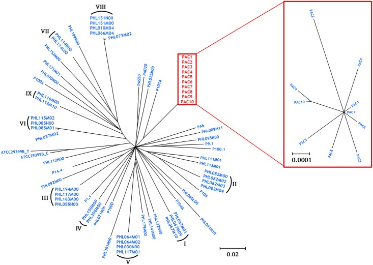 Fig 4