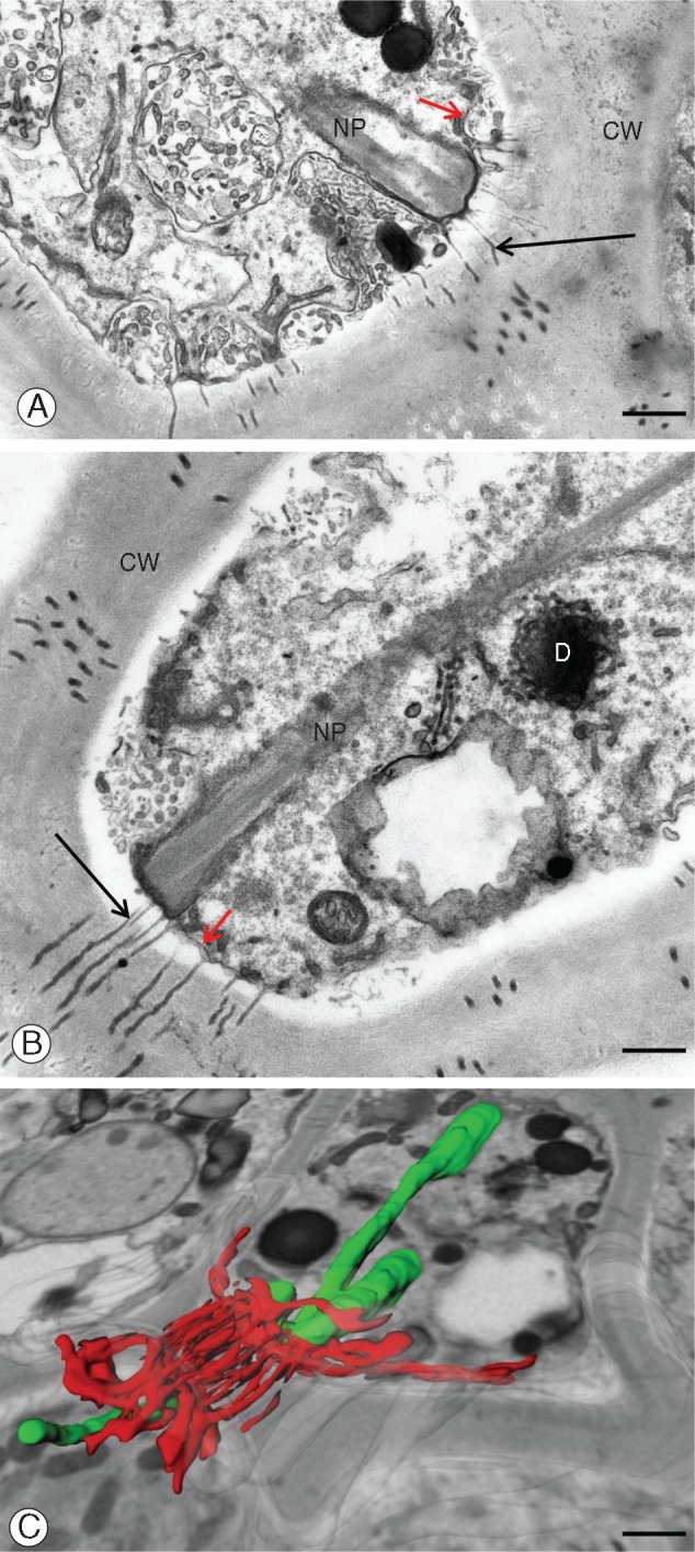 Fig. 5.