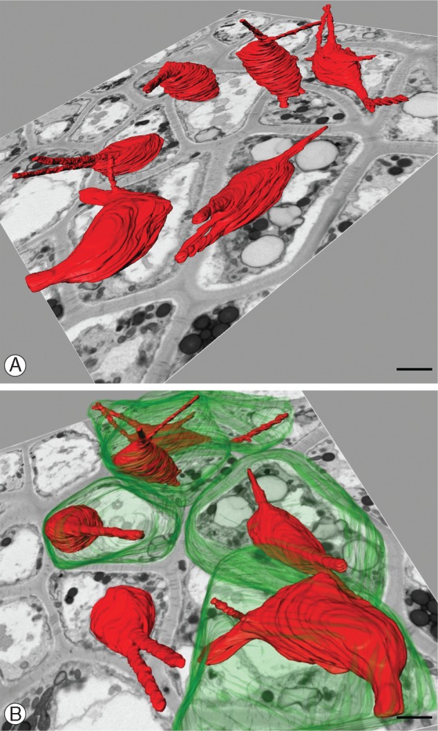 Fig. 4.