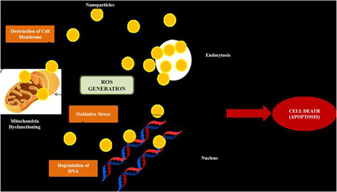 FIGURE 2