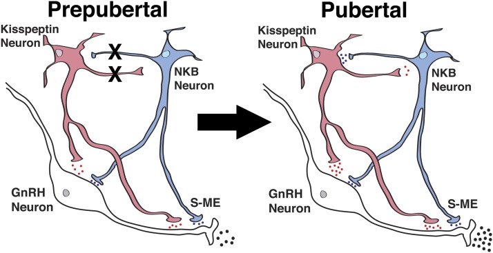 Figure 9.