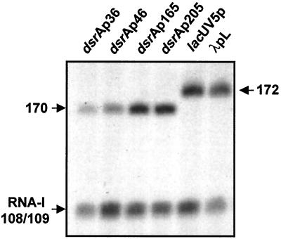 FIG. 6