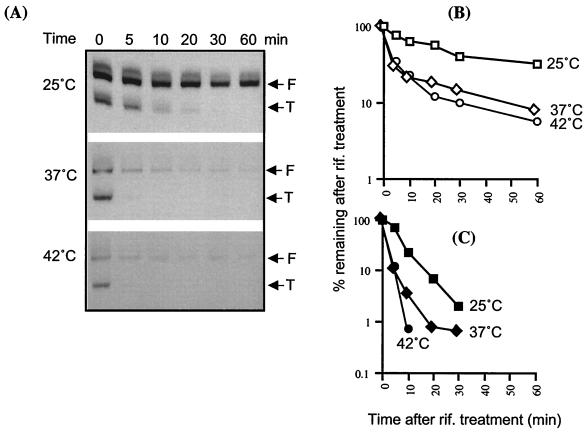 FIG. 7